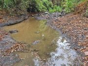 Cundinamarca prioriza el consumo humano ante la sequía