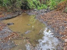 Cundinamarca prioriza el consumo humano ante la sequía