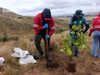 Jardín Botánico recuperará 20 hectáreas afectadas por incendios