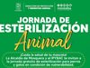 Mosquera realizará nueva jornada de esterilización