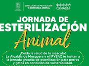 Mosquera realizará nueva jornada de esterilización