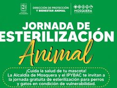 Mosquera realizará nueva jornada de esterilización