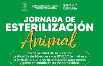 Mosquera realizará nueva jornada de esterilización