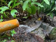 San Antonio del Tequendama frena vertimientos que afectaban una quebrada