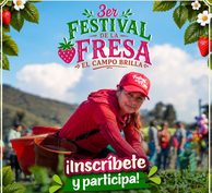 Soacha abrió convocatoria para el Festival de la Fresa