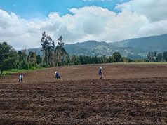 Sopó fortalece a sus productores ganaderos