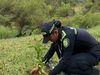 Fusagasugá siembra 1.350 árboles en la vereda Bermejal
