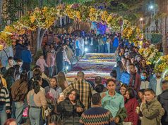 Madrid inauguró su tapete de flores elaborado por más de 60 mujeres