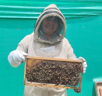 Sibaté fortalece la protección de las abejas con capacitación