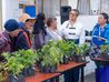 Sopó entrega 600 árboles frutales
